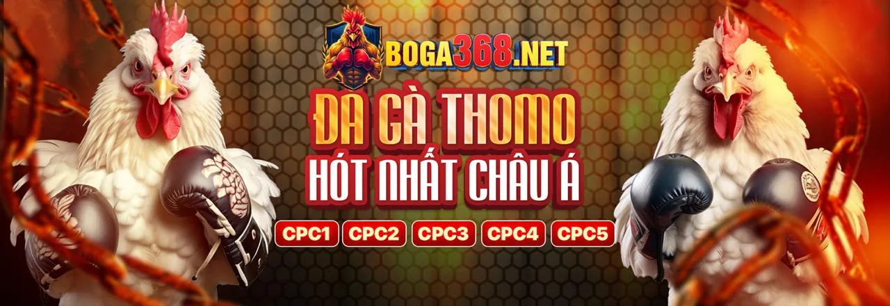 Tổng quan về sảnh đá gà trực tuyến 7ball với các trận đấu đa dạng