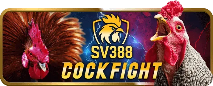 Dịch vụ hỗ trợ khách hàng 24/7 của 7ball sẵn sàng giải đáp mọi thắc mắc của người chơi