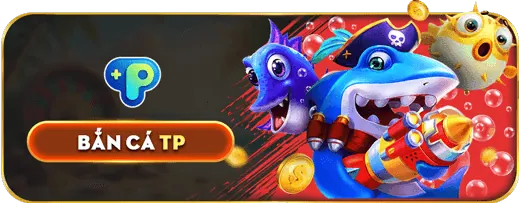Đội ngũ chuyên nghiệp của 7ball